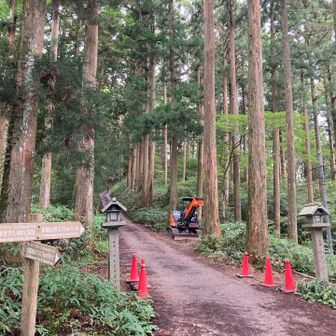 一の鳥居は⁉️