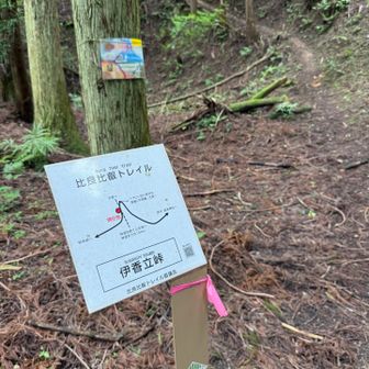 伊香立峠。道標の説明が丁寧