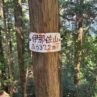 伊那佐山⛰️