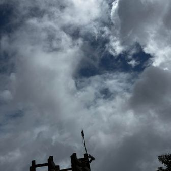 たまに青空が見えるようになった