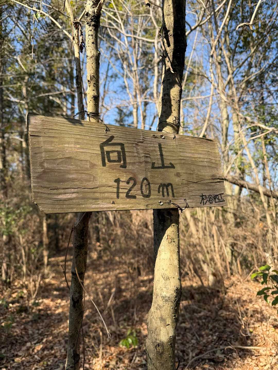あっという間に一座目の向山