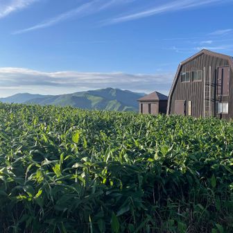 飯豊山が左方に少し見えました
