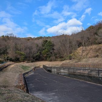 冬枯れの愛知用水