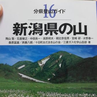 よこ(主食は玄米)