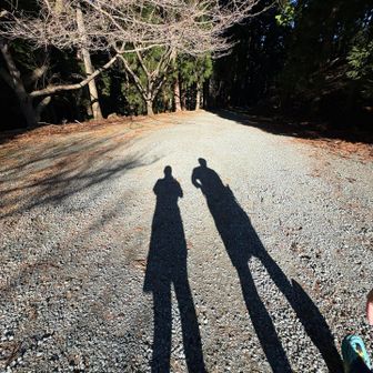 天気良きです☀️