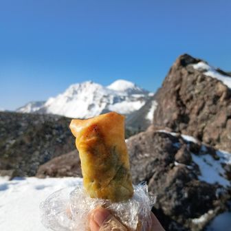 昨日の夕飯のおかずに娘が作ってくれた春巻き〜。鶏ささみ、梅肉入ってるから登山にサイコー。また作って〜