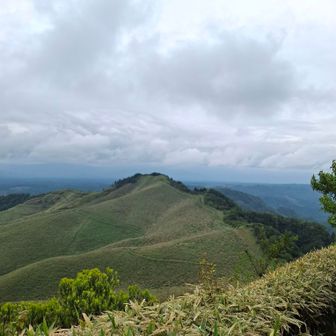 さて、再びこのプチ稜線を戻って下山します
いや～マジ気持ち良かった🤙

家から比較的近い場所にこんないい所があったとは😍