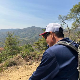 バナナでも食っとく