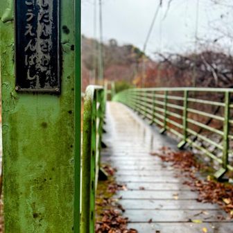3回目にして初めて渡るビジターセンター横の吊り橋🌉
