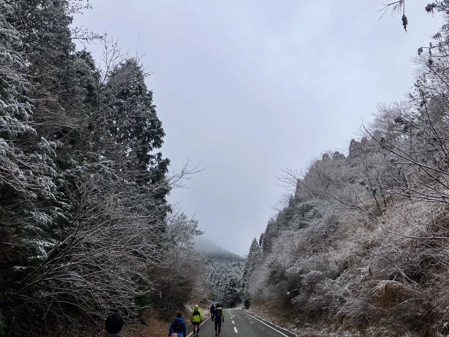 地蔵峠-大矢岳-大矢野岳-太郎ヶ迫-駒返峠 縦走コースの写真