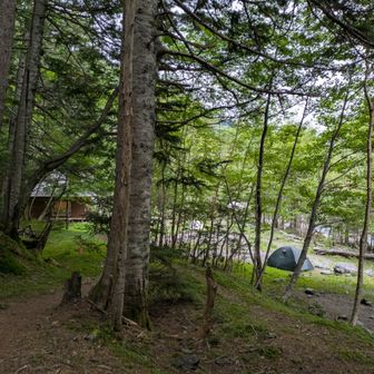 ついに小屋に到着🎶
15:00に間に合ってホッとする😊
（両俣小屋予約不要、夕食は15:00まで到着のこと。一泊二食¥9,000）

14:30頃、遠くで雷の音少し
15:00頃より雨☔降ったり止んだり。