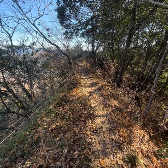 痩せてるでしょ