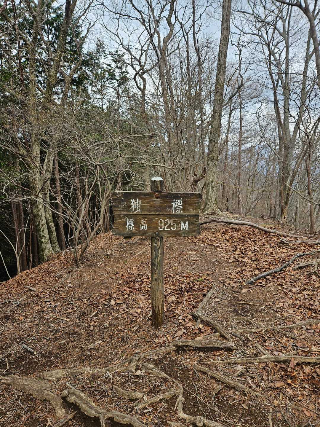 独標　925㍍