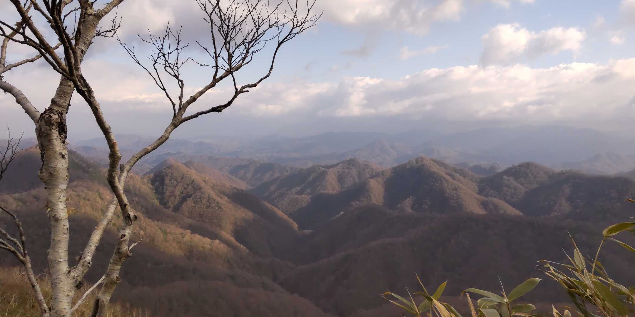 南側の山々。