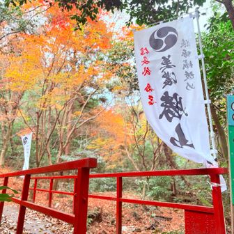 好きな色ばかり❤️🧡💛