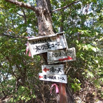 →大刀洗方面へ
