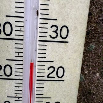 風があるから気持ちがいい。汗だくではあるけど、宝満山の時ほどではない。