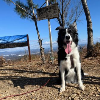 みるくと飼い主たち