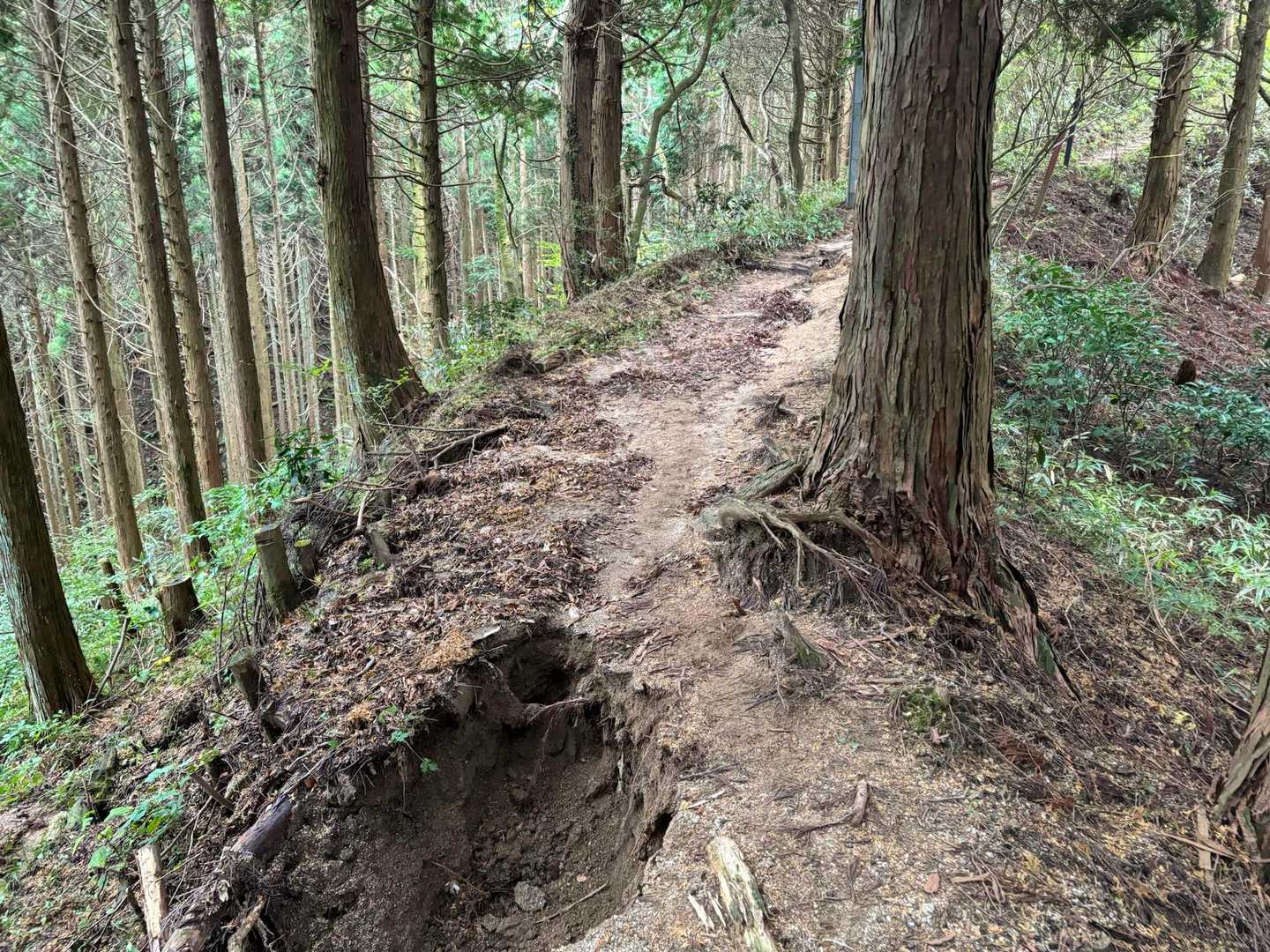 道の半分　崩れてる所　ありました　気をつけて