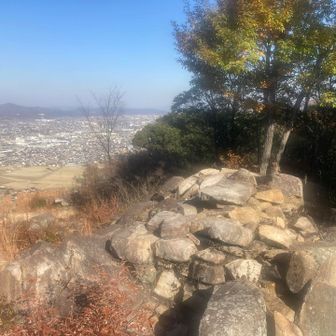 そんなことを考えながら岩が重ね合わさった展望台に上がると