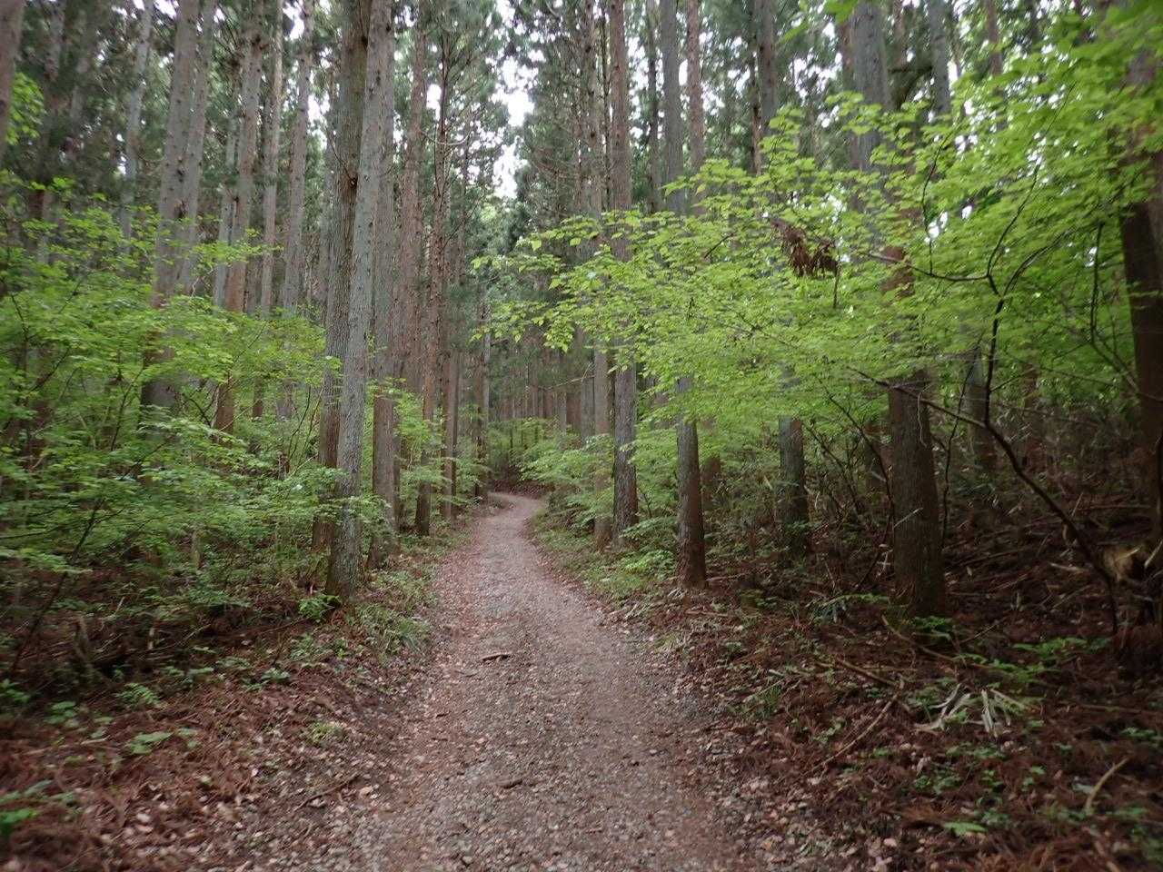 牧野登山口-高柴山 往復コースの写真