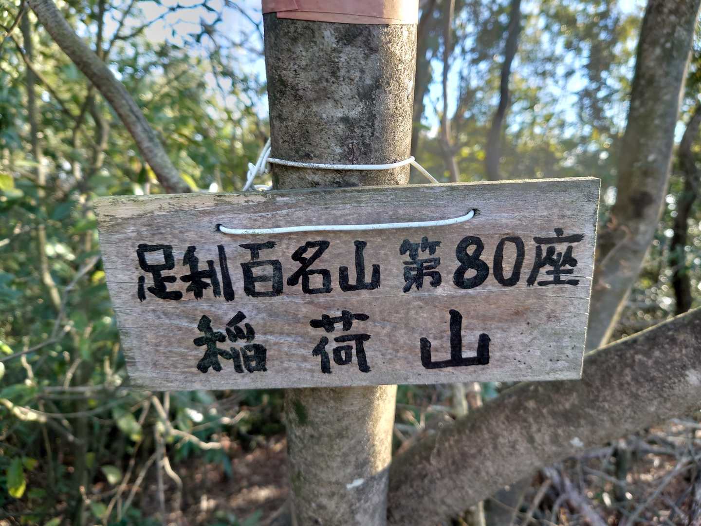 稲荷山✨