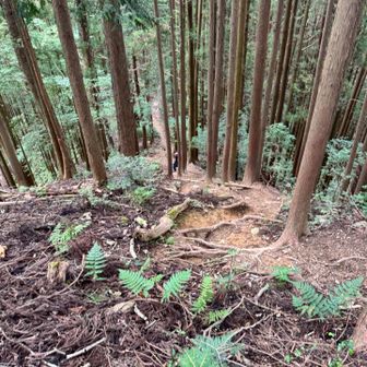 山に登ったら降りないと…