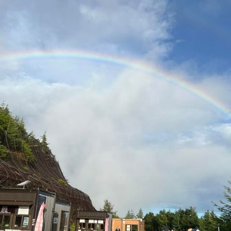 雨はまだ降ってるけど🌈がかかったよ