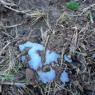 雪❄発見⛄️昨日(1/2(金))の降雪