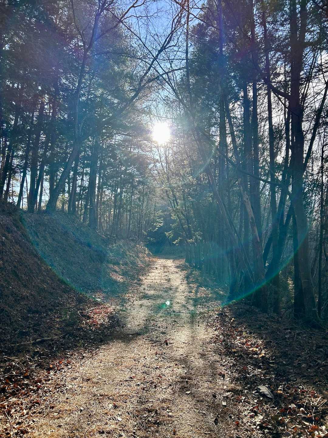 あゆのつり橋-檜山 周回コースの写真