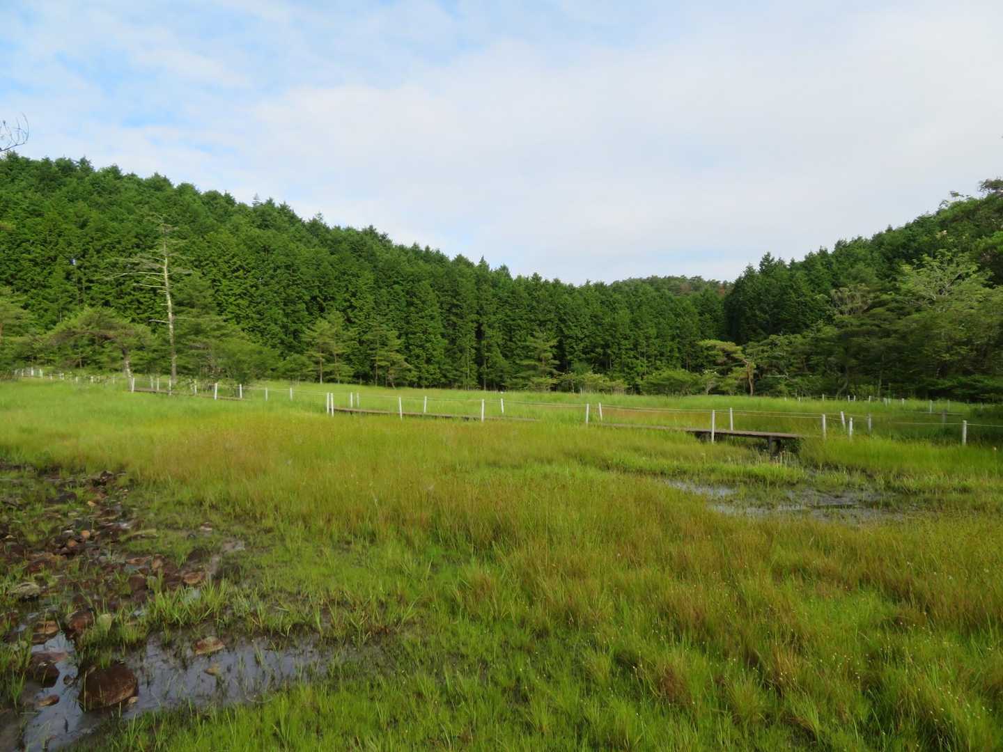 貸し切り堪能