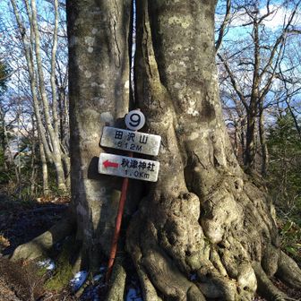 田沢山到着