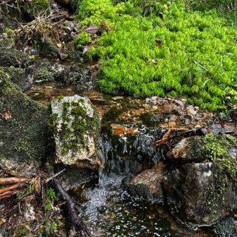 標高高いのにこの水量