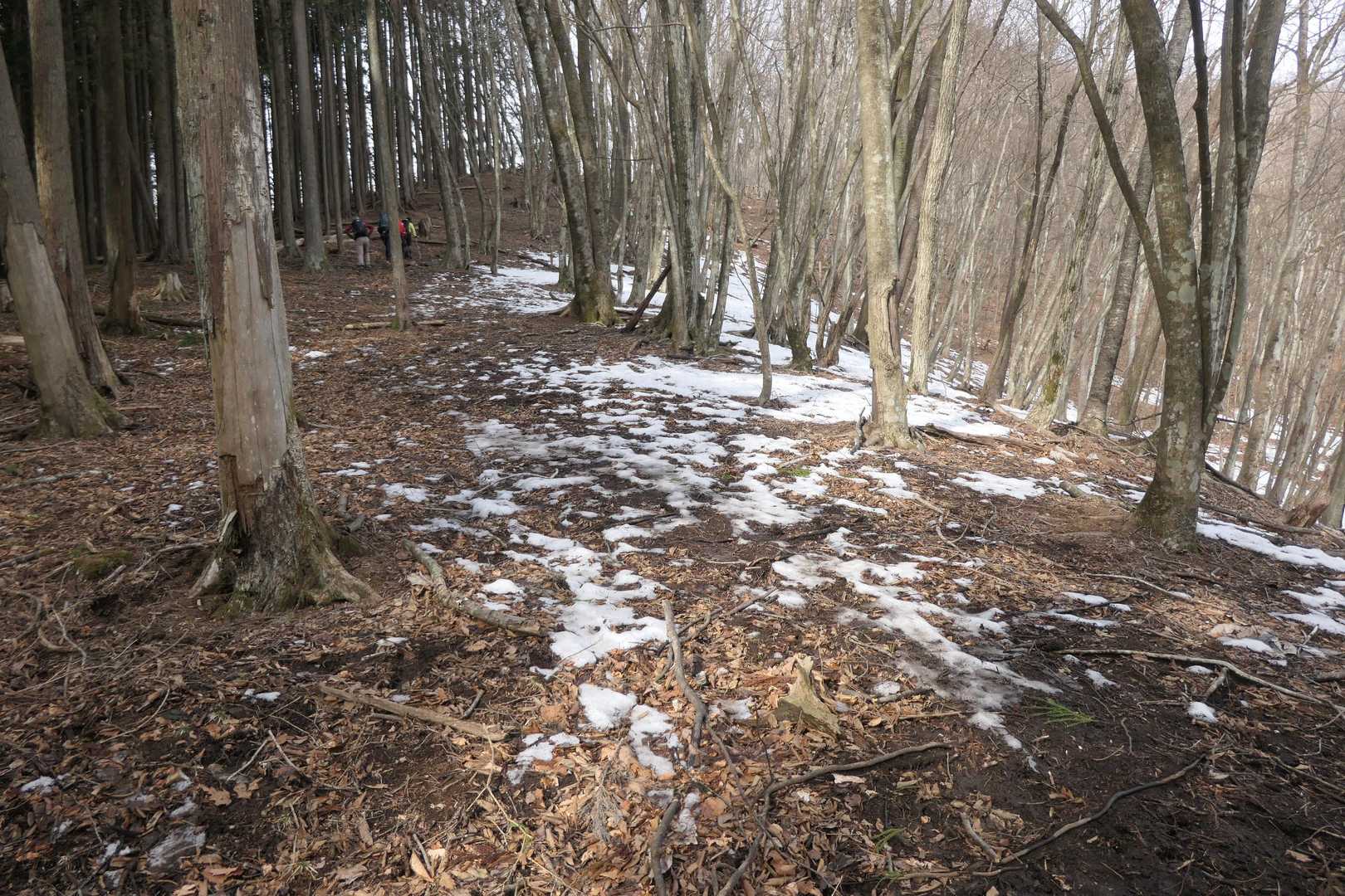 雪が出てきました。