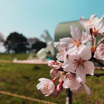 山と星とあおい