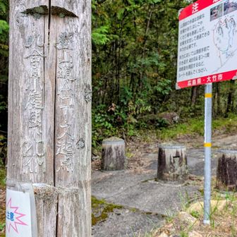 Aコース登山口
スルーしてドンドン降りて行きます