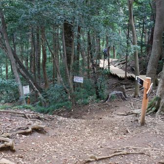 ４号路と合流