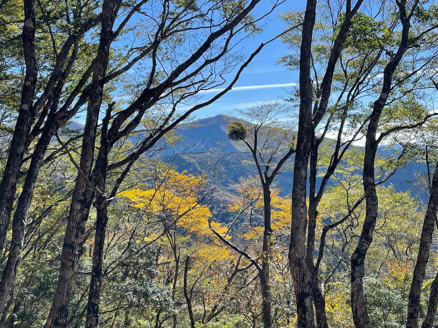 何山か分からんが✨
