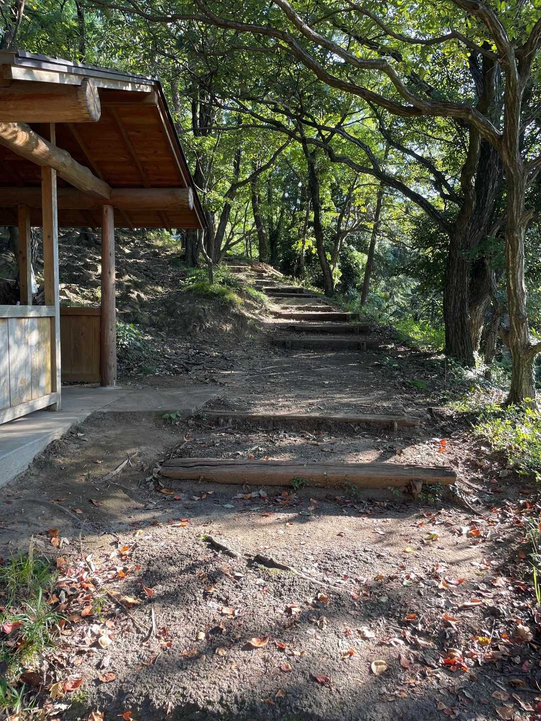 物見台-金山 往復コースの写真