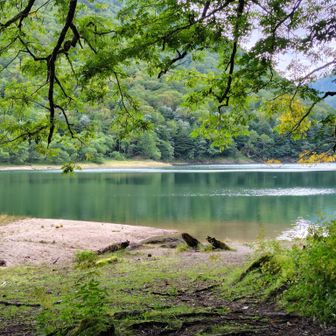 刈込湖です💚