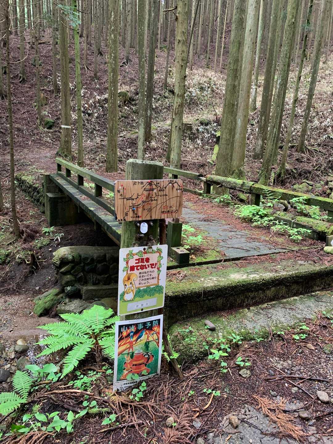 尼ヶ岳 往復コースの写真