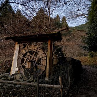 昨年は高天からは登ってなかったので
一年以上ぶりになるのかなぁ！