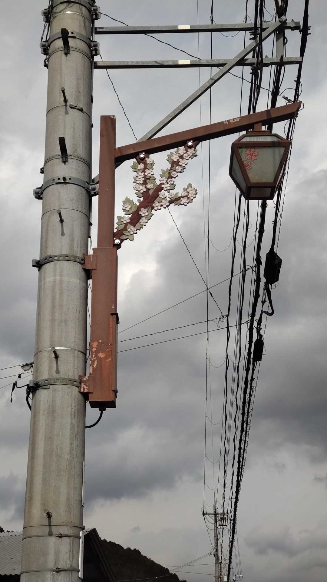 街灯も桜