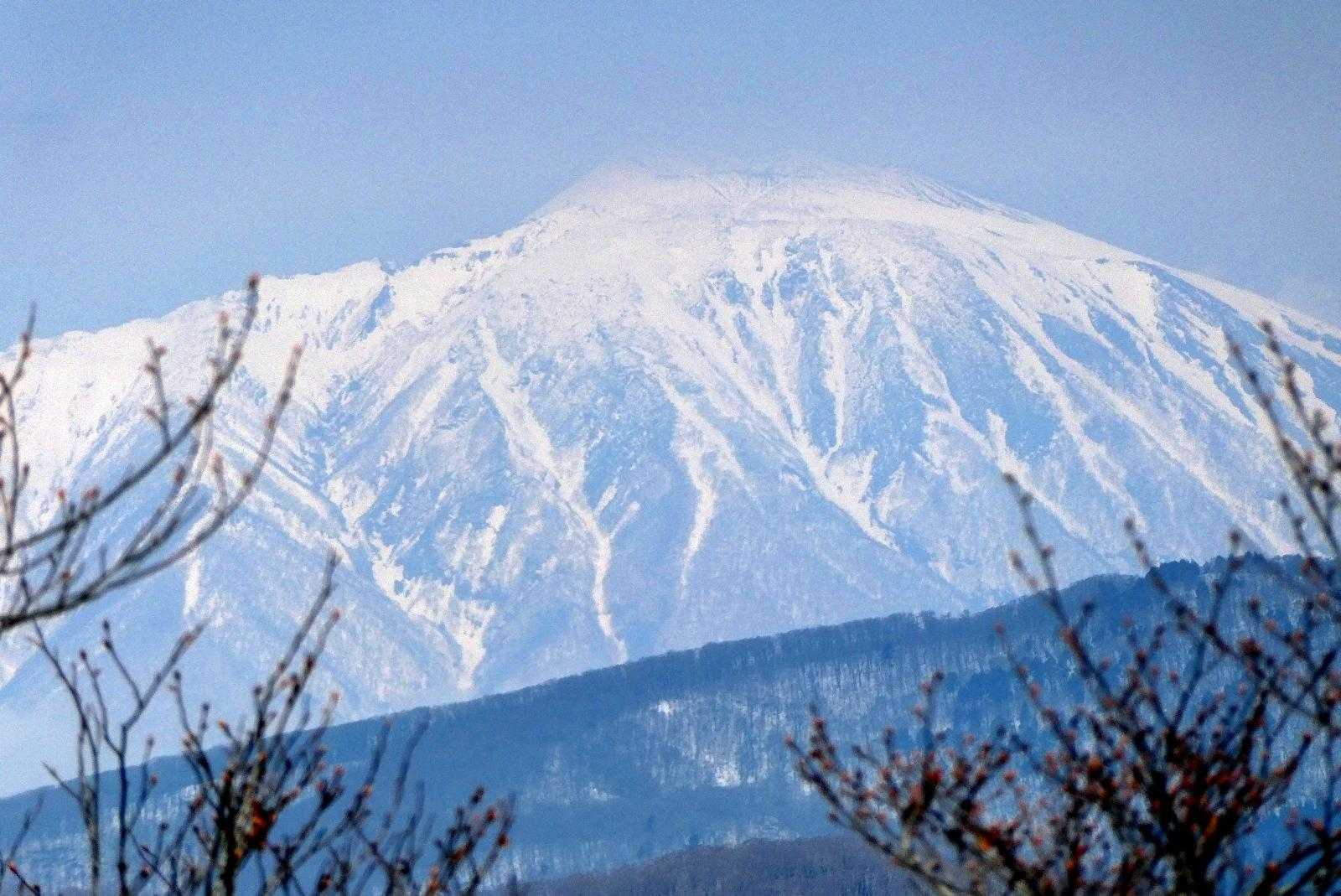 木々の枝の間から岩手山がクッキリ！