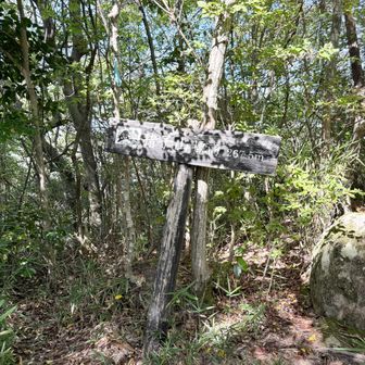猪子山・標高 267.5m。
