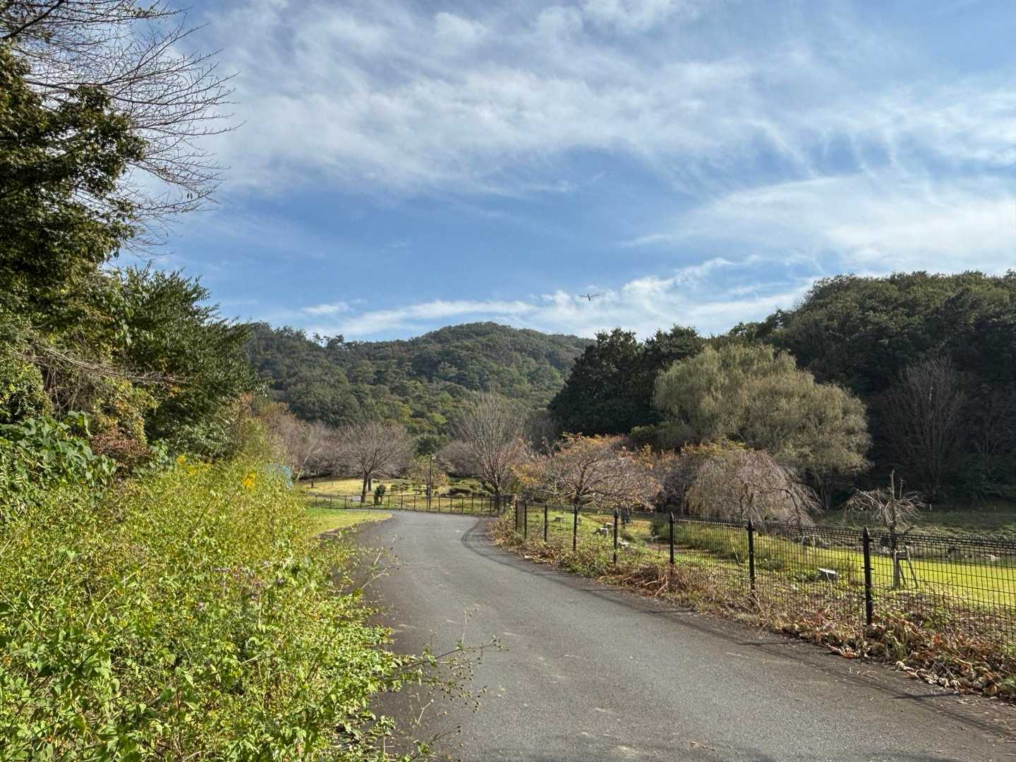今日はちょっと気になっていた道を歩いてみましょう🚶‍♂️