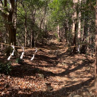 大平山への登り道