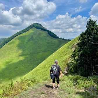 緑の絨毯。綺麗ですね。