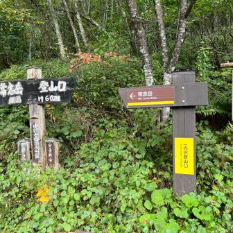 一ノ沢登山口に到着。
お疲れ様！と言いたいところですが…