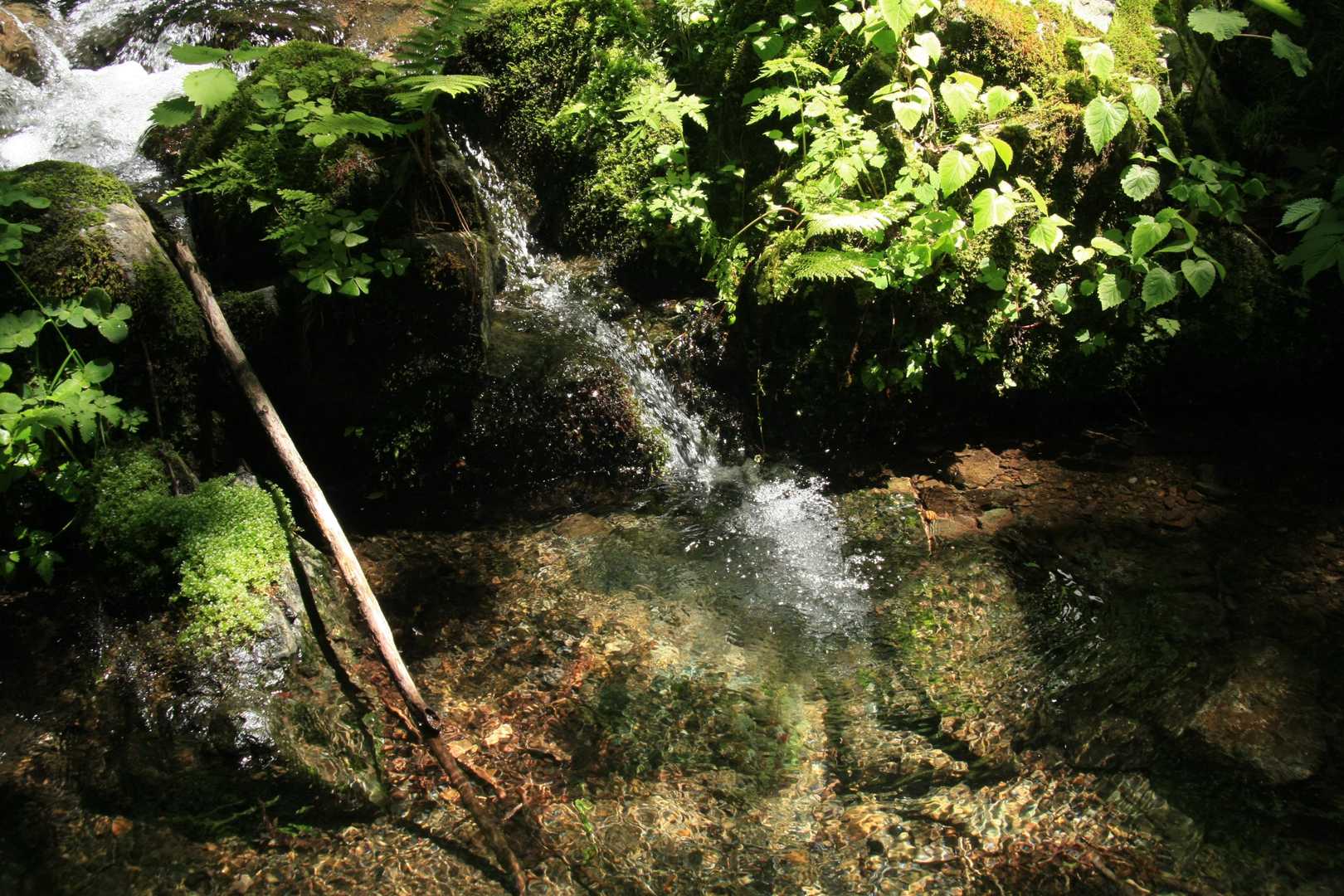 大蔵山-三五郎山-菅名岳-鳴沢峰-小山田登山口 周回コースの写真